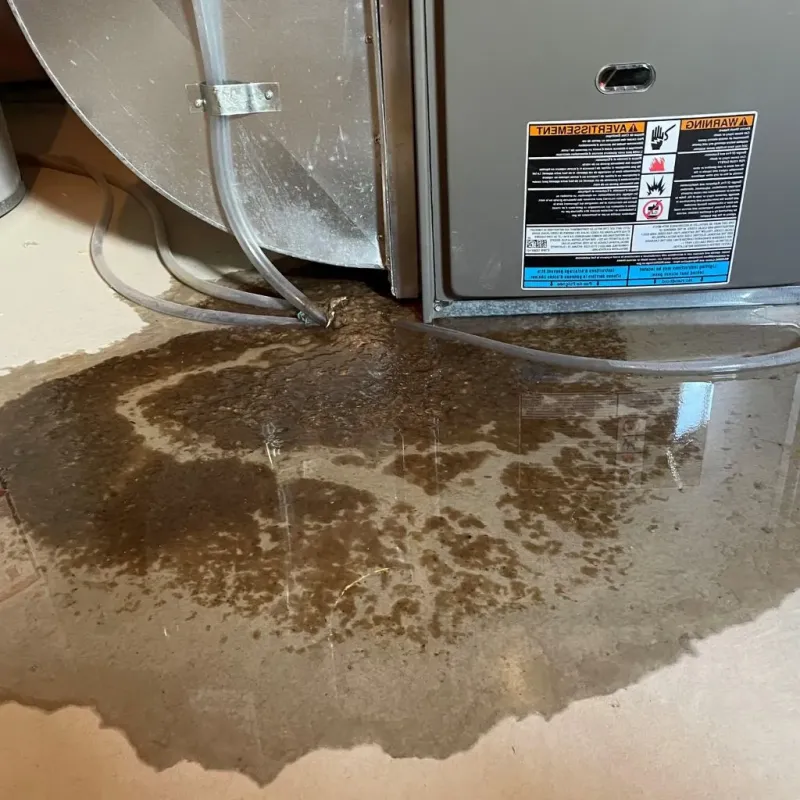 Pipe Burst and Leak Restoration in Day Heights, OH