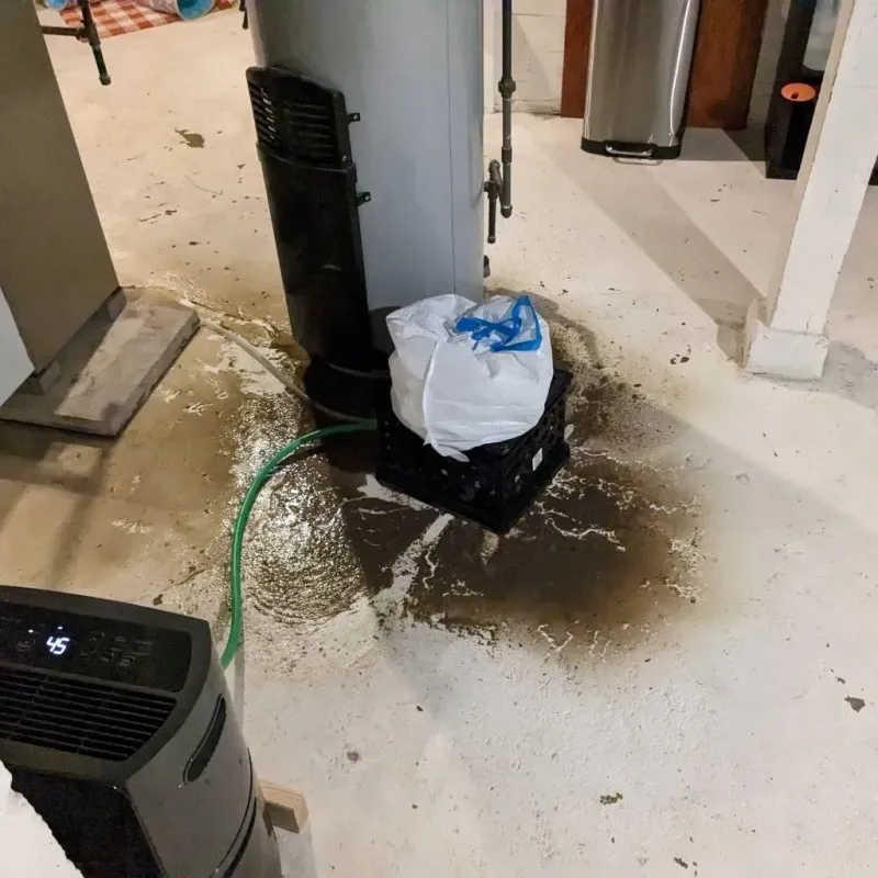 Sewage Backup Cleanup Service in Day Heights, OH